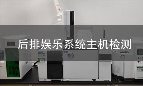 后排娛樂系統(tǒng)主機檢測