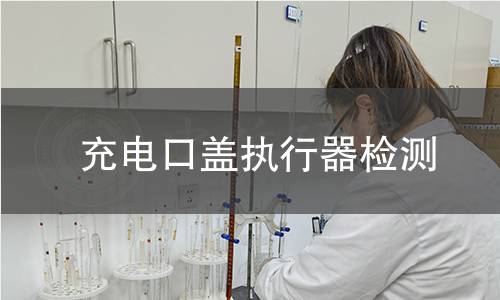 充電口蓋執(zhí)行器檢測(cè)