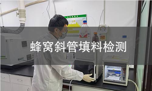 蜂窩斜管填料檢測(cè)