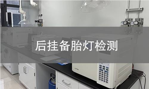 后掛備胎燈檢測