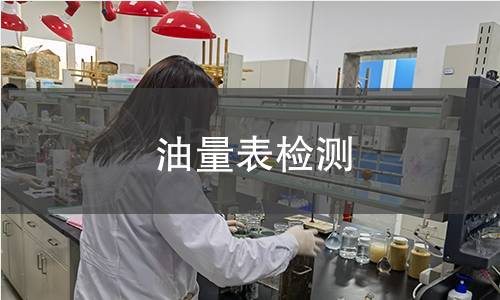 油量表檢測