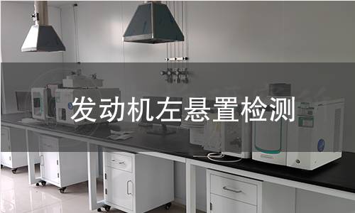 發(fā)動(dòng)機(jī)左懸置檢測(cè)