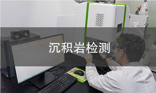 沉積巖檢測
