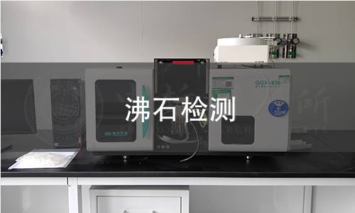 沸石檢測