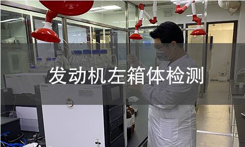 發(fā)動(dòng)機(jī)左箱體檢測