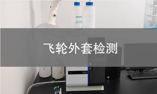 飛輪外套檢測