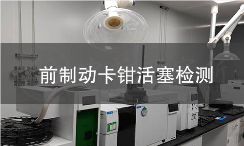 前制動卡鉗活塞檢測