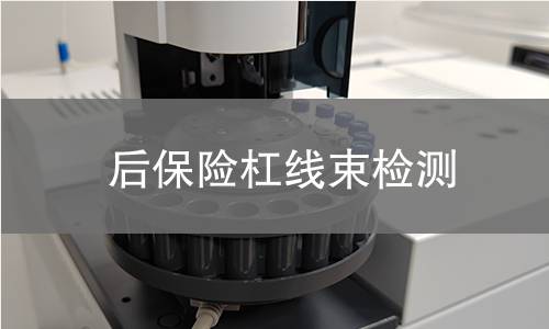 后保險(xiǎn)杠線束檢測(cè)