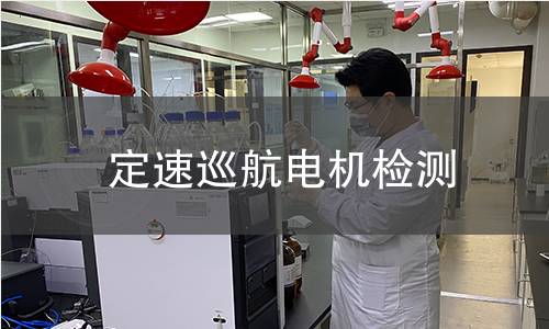 定速巡航電機(jī)檢測