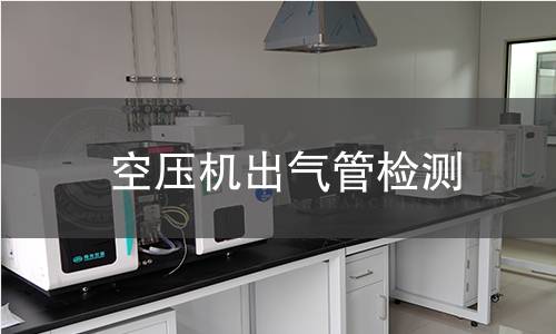 空壓機(jī)出氣管檢測