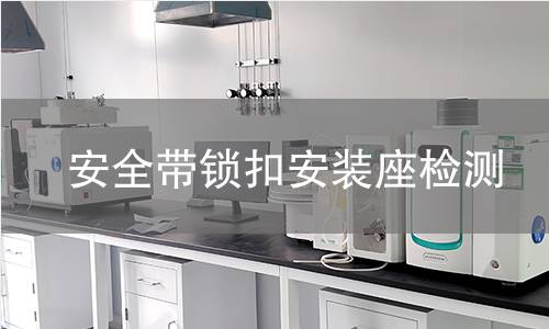 安全帶鎖扣安裝座檢測(cè)