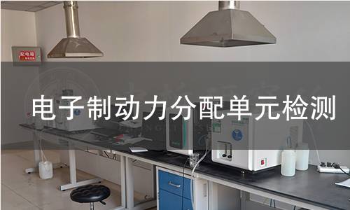 電子制動(dòng)力分配單元檢測(cè)