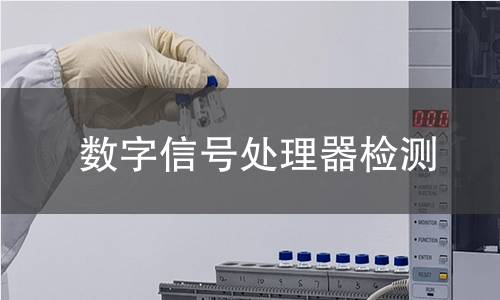 數(shù)字信號處理器檢測