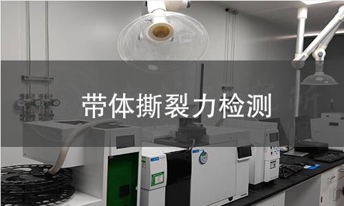 帶體撕裂力檢測