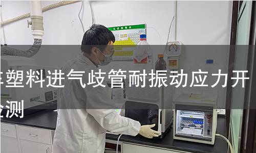 汽車塑料進氣歧管耐振動應力開裂檢測