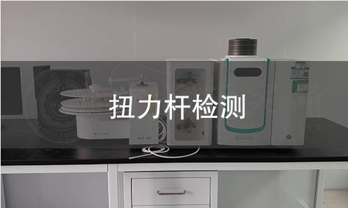 扭力桿檢測