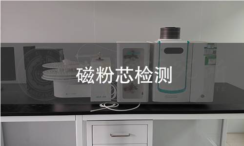 磁粉芯檢測(cè)