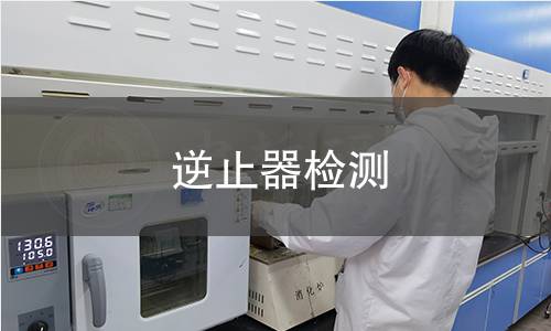 逆止器檢測