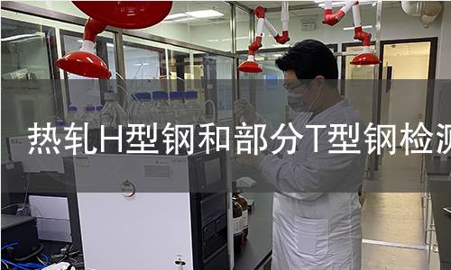 熱軋H型鋼和部分T型鋼檢測