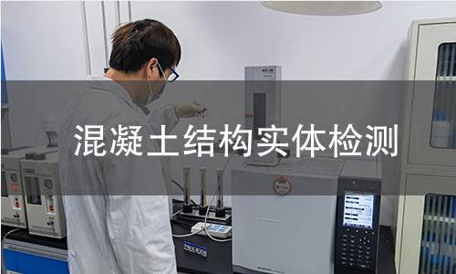 混凝土結(jié)構(gòu)實(shí)體檢測(cè)