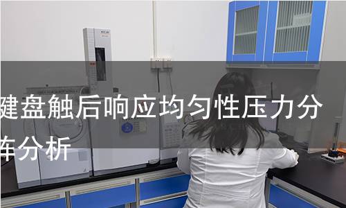 MIDI鍵盤觸后響應(yīng)均勻性壓力分布矩陣分析