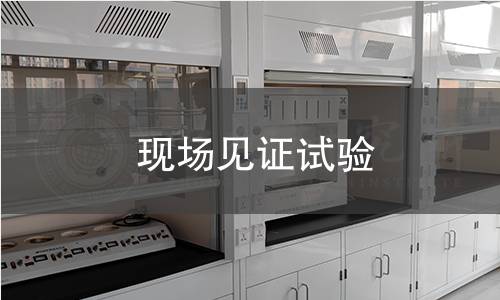 現(xiàn)場見證試驗(yàn)