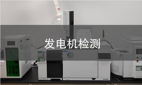 發(fā)電機(jī)檢測