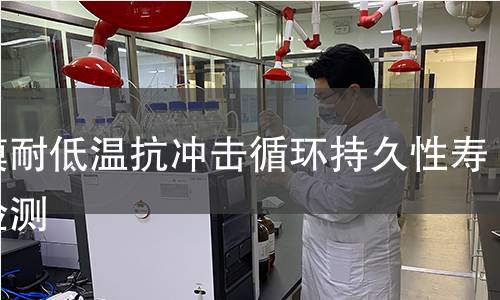 薄膜耐低溫抗沖擊循環(huán)持久性壽命檢測(cè)