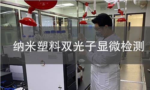 納米塑料雙光子顯微檢測