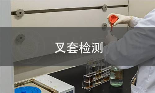 叉套檢測