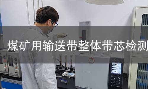 煤礦用輸送帶整體帶芯檢測(cè)