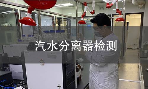汽水分離器檢測