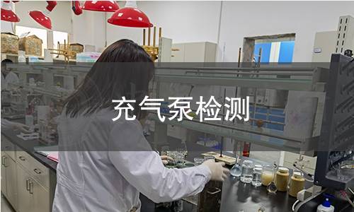 充氣泵檢測