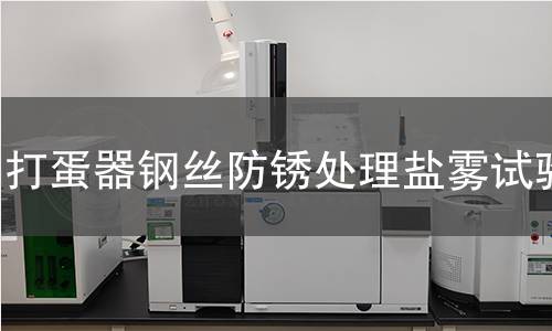 打蛋器鋼絲防銹處理鹽霧試驗(yàn)