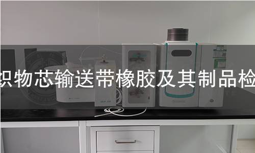 織物芯輸送帶橡膠及其制品檢測