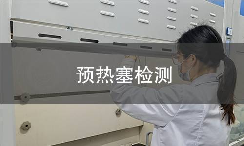 預(yù)熱塞檢測
