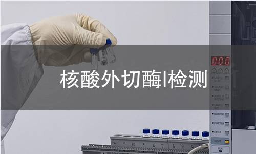  核酸外切酶I檢測(cè)