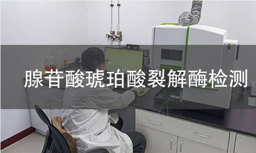  腺苷酸琥珀酸裂解酶檢測(cè)