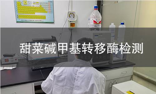 甜菜堿甲基轉(zhuǎn)移酶檢測