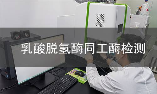  乳酸脫氫酶同工酶檢測