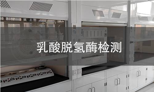 乳酸脫氫酶檢測