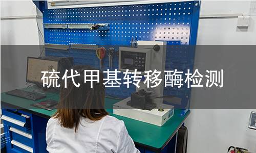 硫代甲基轉(zhuǎn)移酶檢測