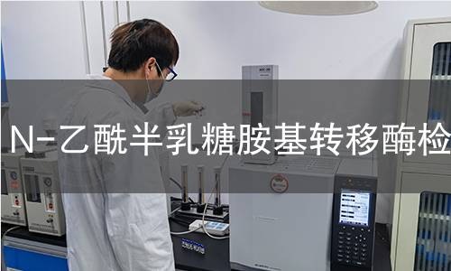 N-乙酰半乳糖胺基轉(zhuǎn)移酶檢測