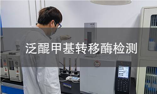 泛醌甲基轉(zhuǎn)移酶檢測