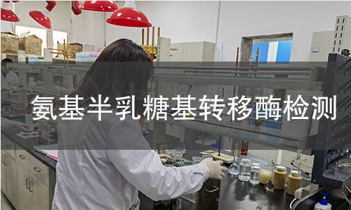 氨基半乳糖基轉(zhuǎn)移酶檢測(cè)