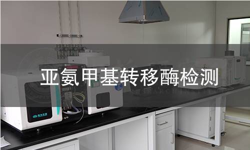 亞氨甲基轉(zhuǎn)移酶檢測(cè)