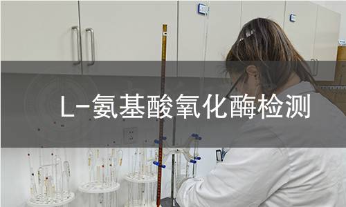 L-氨基酸氧化酶檢測