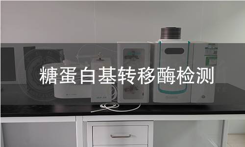 糖蛋白基轉(zhuǎn)移酶檢測(cè)