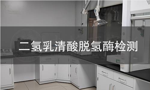 二氫乳清酸脫氫酶檢測