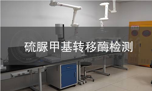 硫脲甲基轉(zhuǎn)移酶檢測